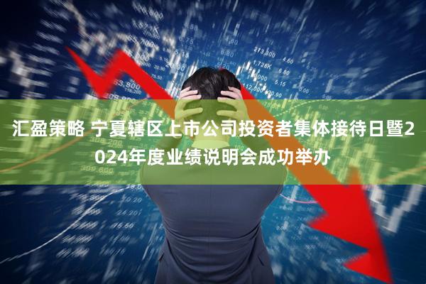 汇盈策略 宁夏辖区上市公司投资者集体接待日暨2024年度业绩说明会成功举办