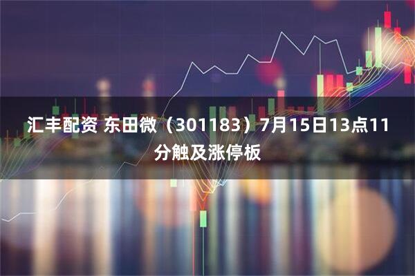 汇丰配资 东田微（301183）7月15日13点11分触及涨停板
