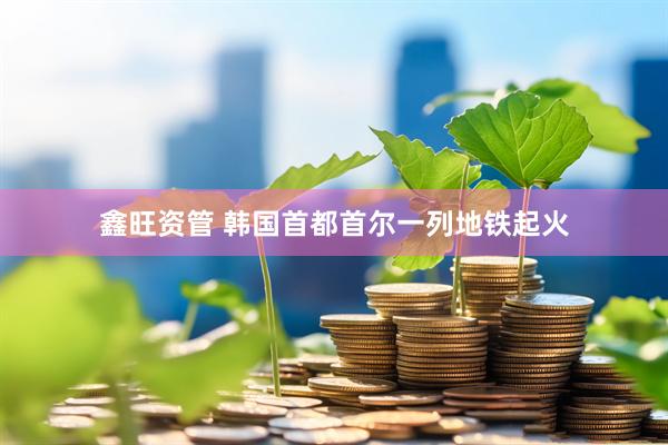 鑫旺资管 韩国首都首尔一列地铁起火