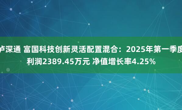 泸深通 富国科技创新灵活配置混合：2025年第一季度利润2389.45万元 净值增长率4.25%