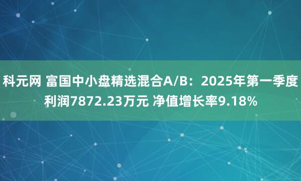 科元网 富国中小盘精选混合A/B：2025年第一季度利润7872.23万元 净值增长率9.18%