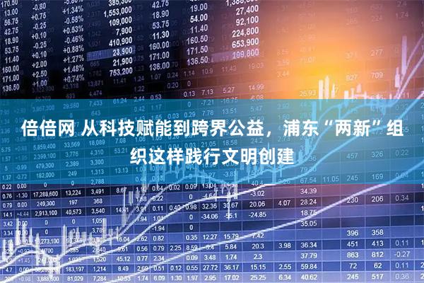 倍倍网 从科技赋能到跨界公益，浦东“两新”组织这样践行文明创建