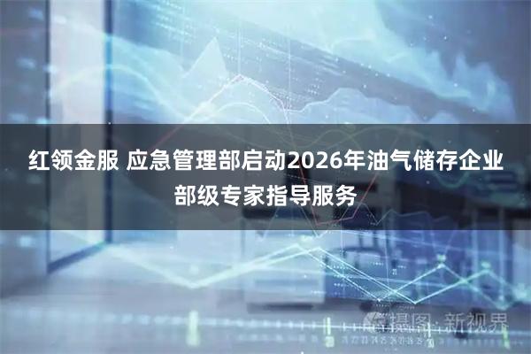 红领金服 应急管理部启动2026年油气储存企业部级专家指导服务